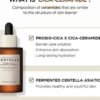 SKIN1004 Madagascar Centella Probio-Cica Intensive Ampoule 100ml